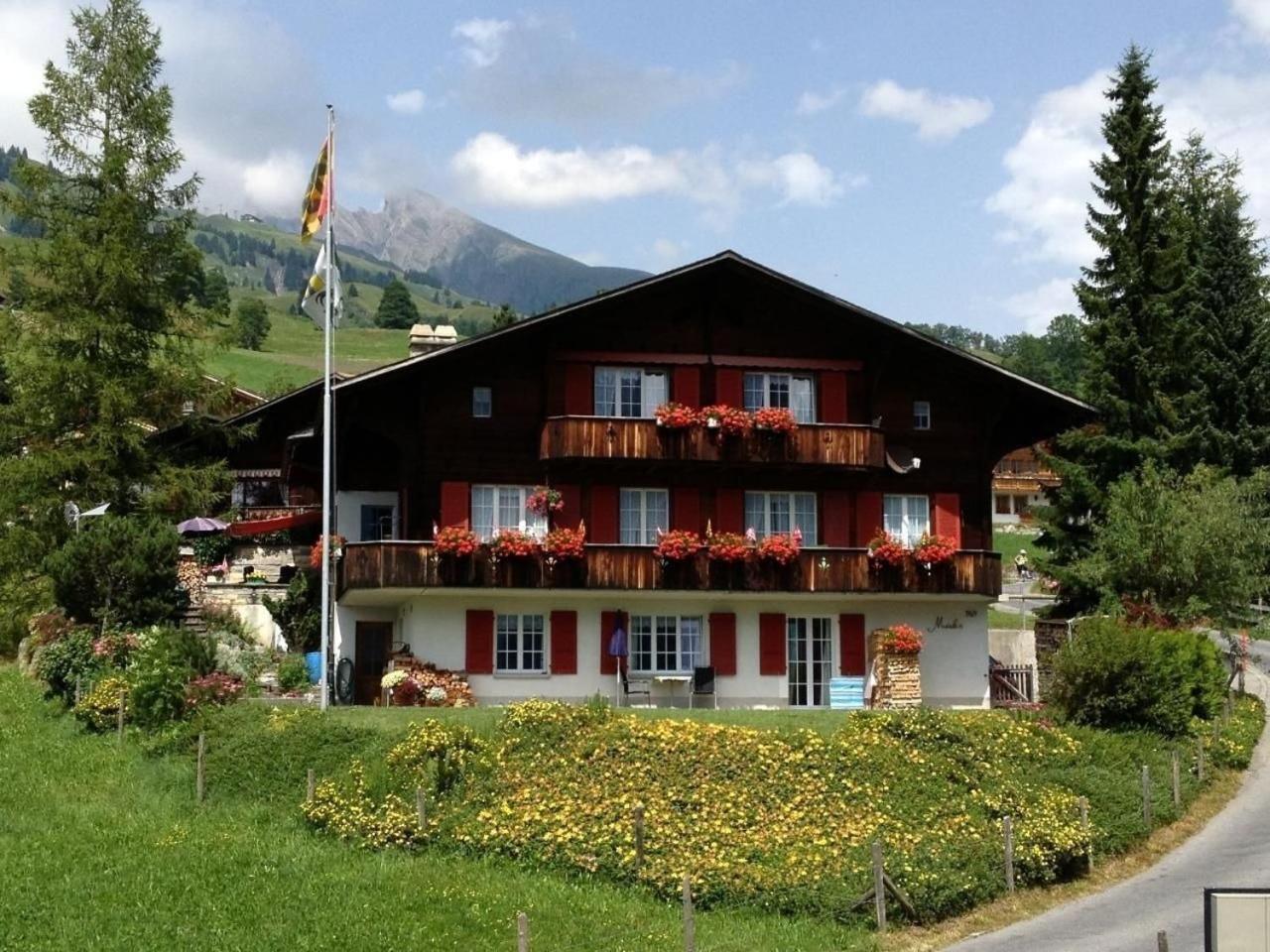 Mislin, Direkte Bergsicht *