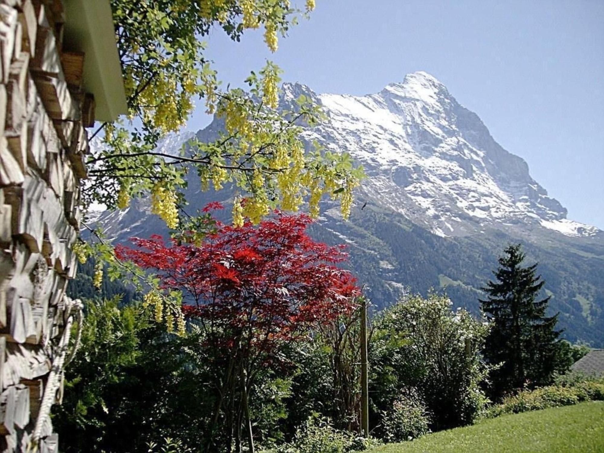Apartment Mislin, Direkte Bergsicht Grindelwald